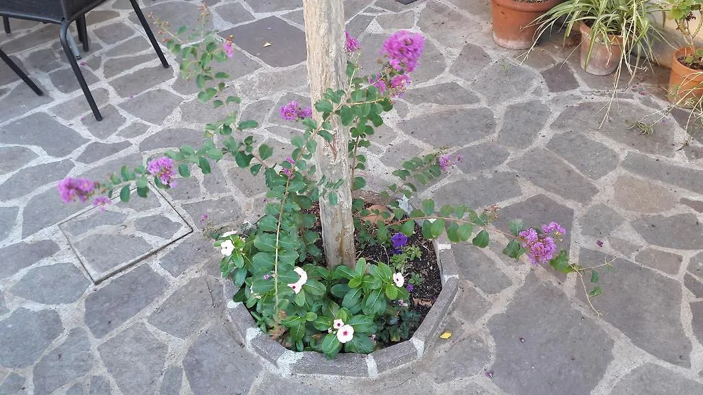 Florence Stadium B&B 3*,  Italy